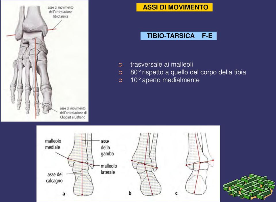 ai malleoli 80 rispetto a