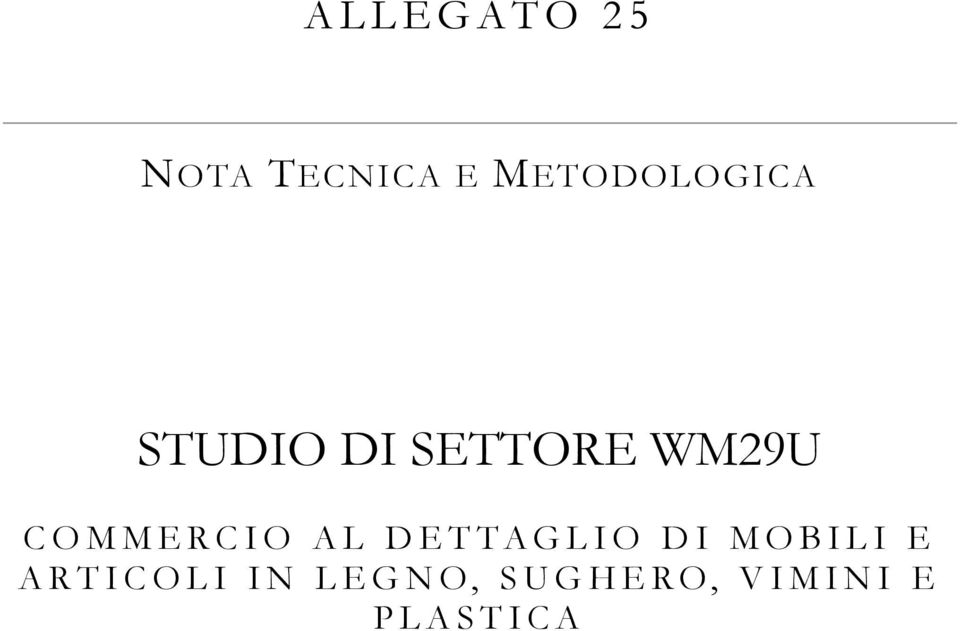 WM29U COMMERCIO AL DETTAGLIO DI