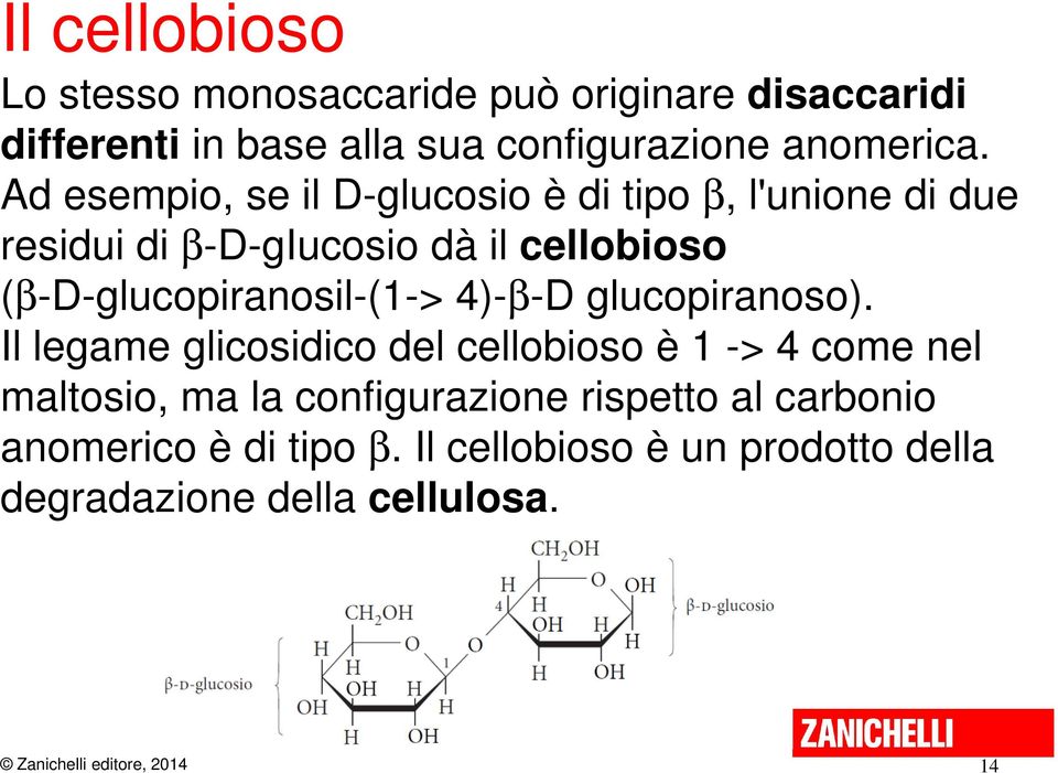 Ad esempio, se il D-glucosio è di tipo β, l'unione di due residui di β-d-giucosio dà il cellobioso