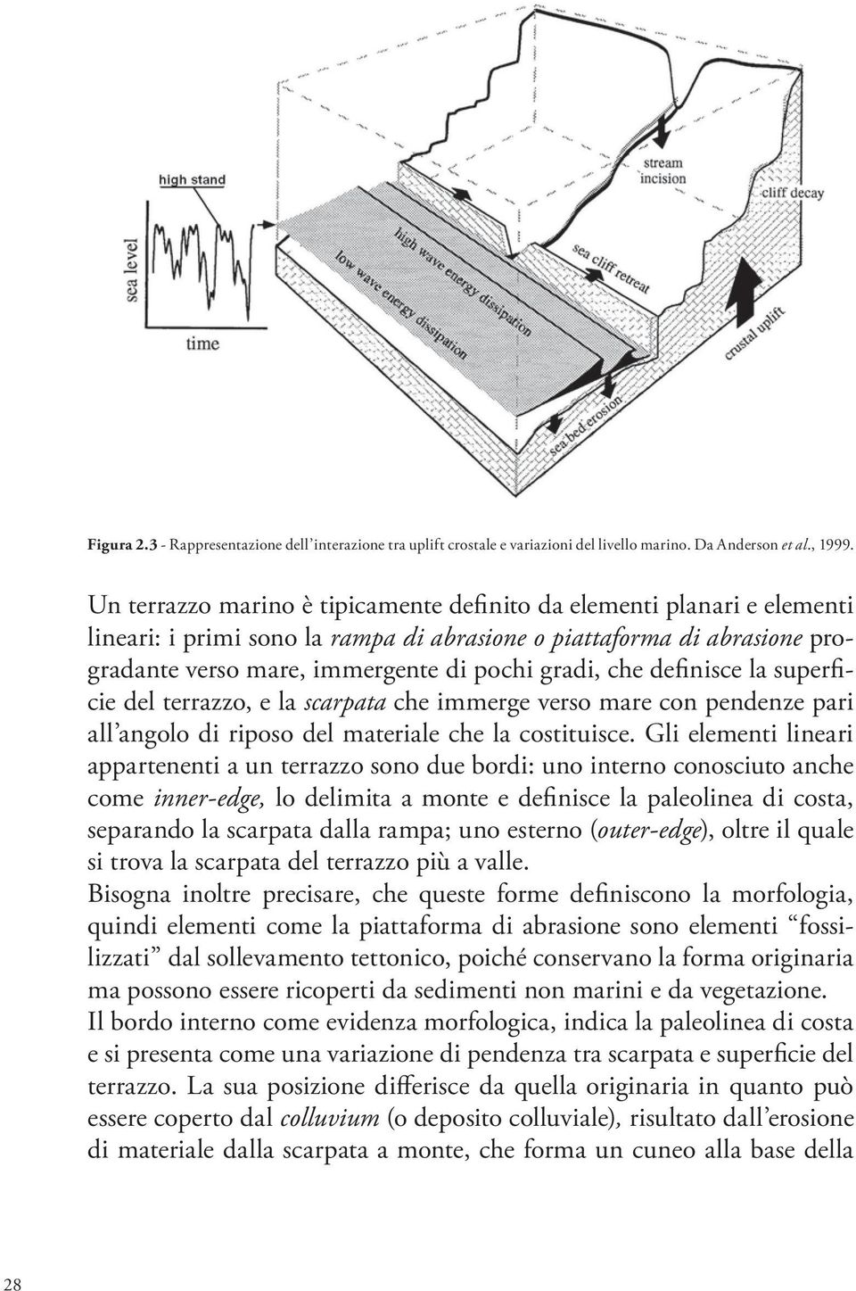 definisce la superficie del terrazzo, e la scarpata che immerge verso mare con pendenze pari all angolo di riposo del materiale che la costituisce.