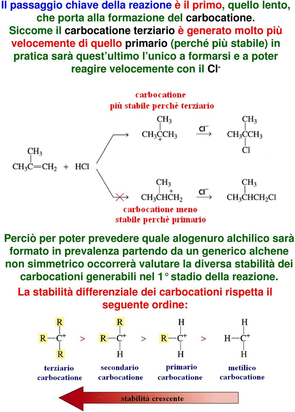 formarsi e a poter reagire velocemente con il Cl - Perciò per poter prevedere quale alogenuro alchilico sarà formato in prevalenza partendo da un