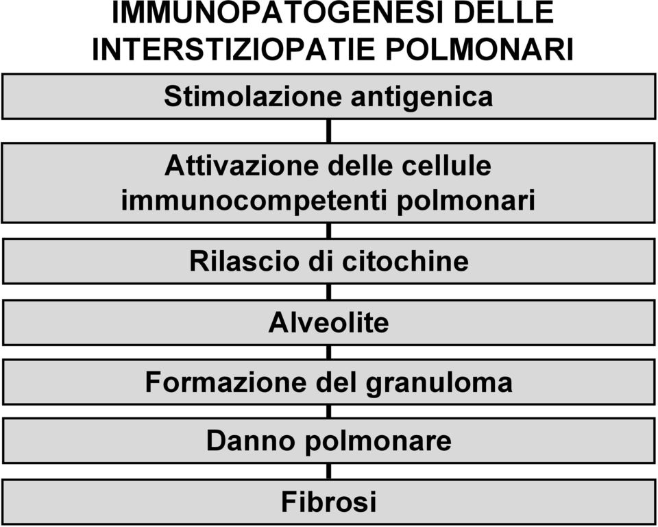 immunocompetenti polmonari Rilascio di citochine