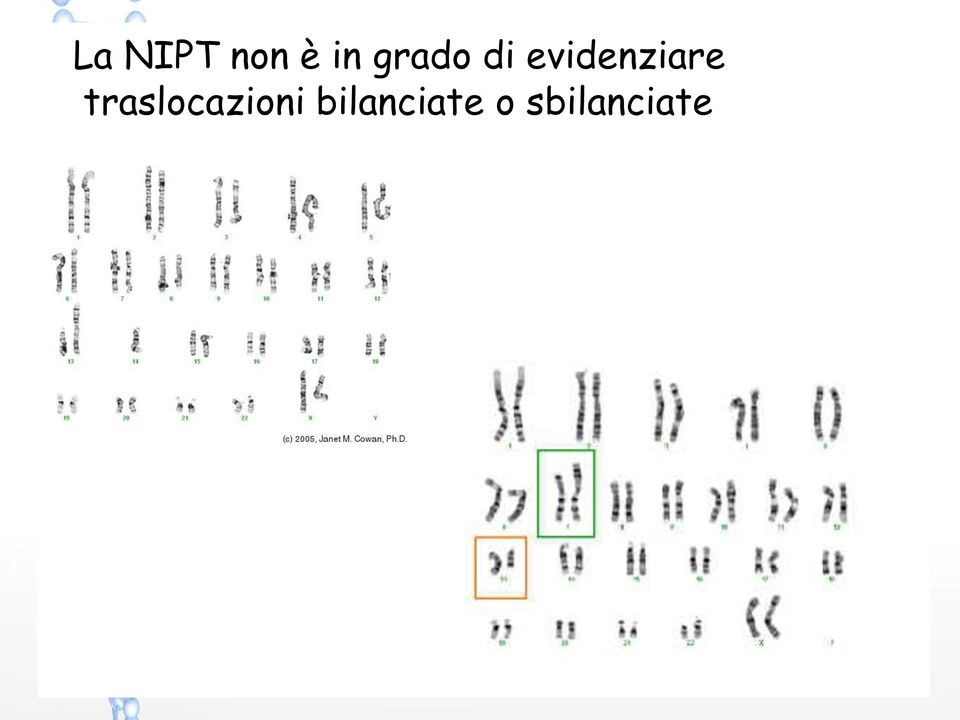 evidenziare