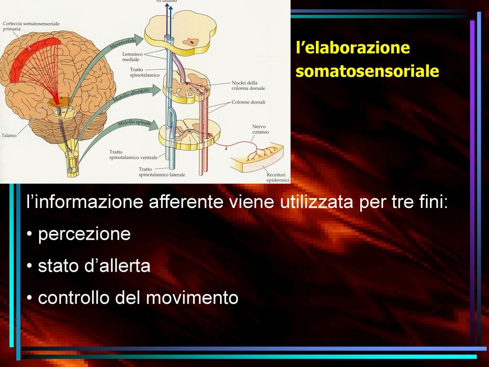 utilizzata per tre fini: