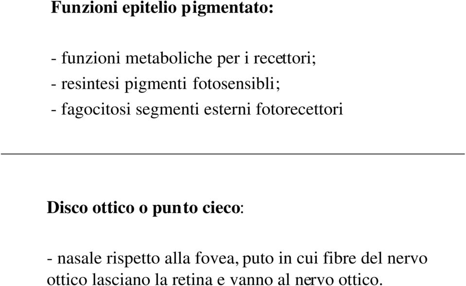 fotorecettori Disco ottico o punto cieco: - nasale rispetto alla fovea,