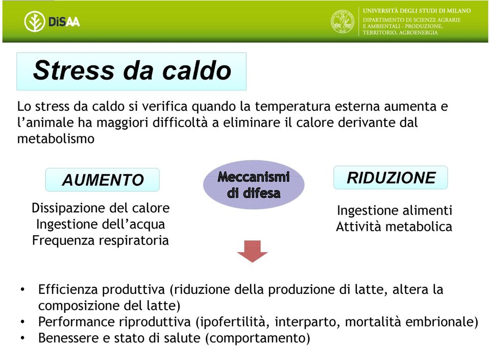 alimenti Attività metabolica Efficienza produttiva (riduzione della produzione di latte, altera la composizione del
