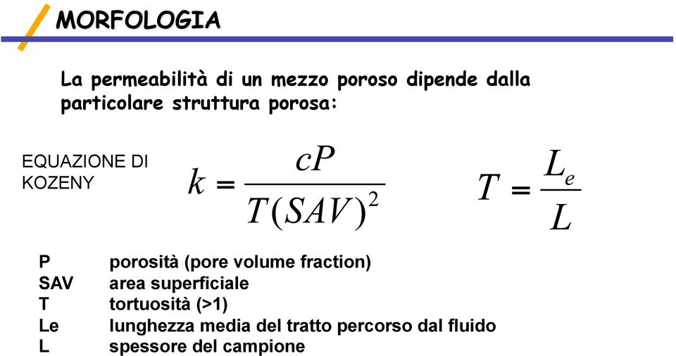 fraction) SAV area superficiale T tortuosità (>1) Le