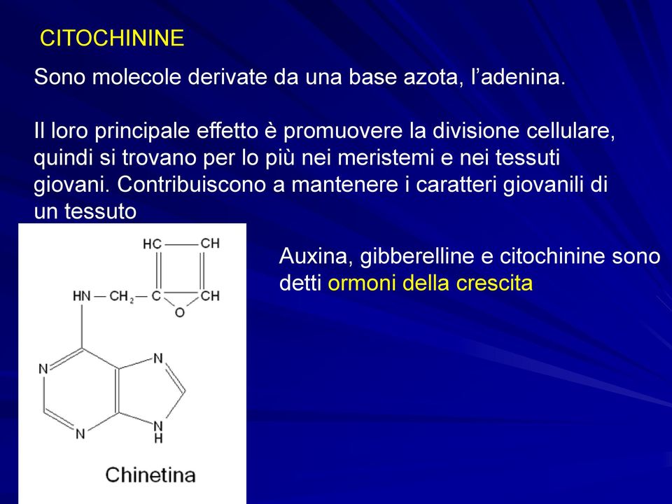 per lo più nei meristemi e nei tessuti giovani.