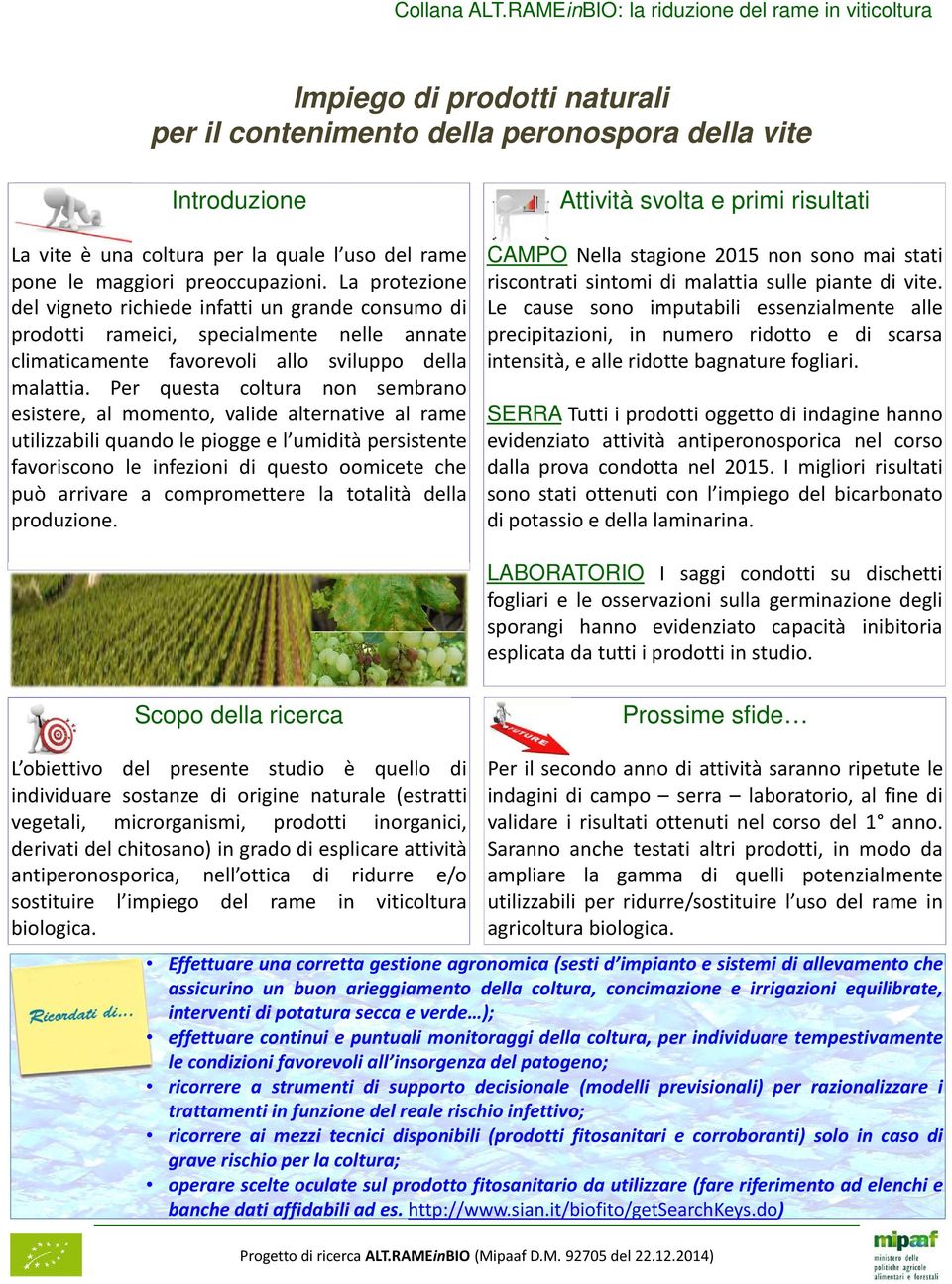 preoccupazioni. La protezione del vigneto richiede infatti un grande consumo di prodotti rameici, specialmente nelle annate climaticamente favorevoli allo sviluppo della malattia.