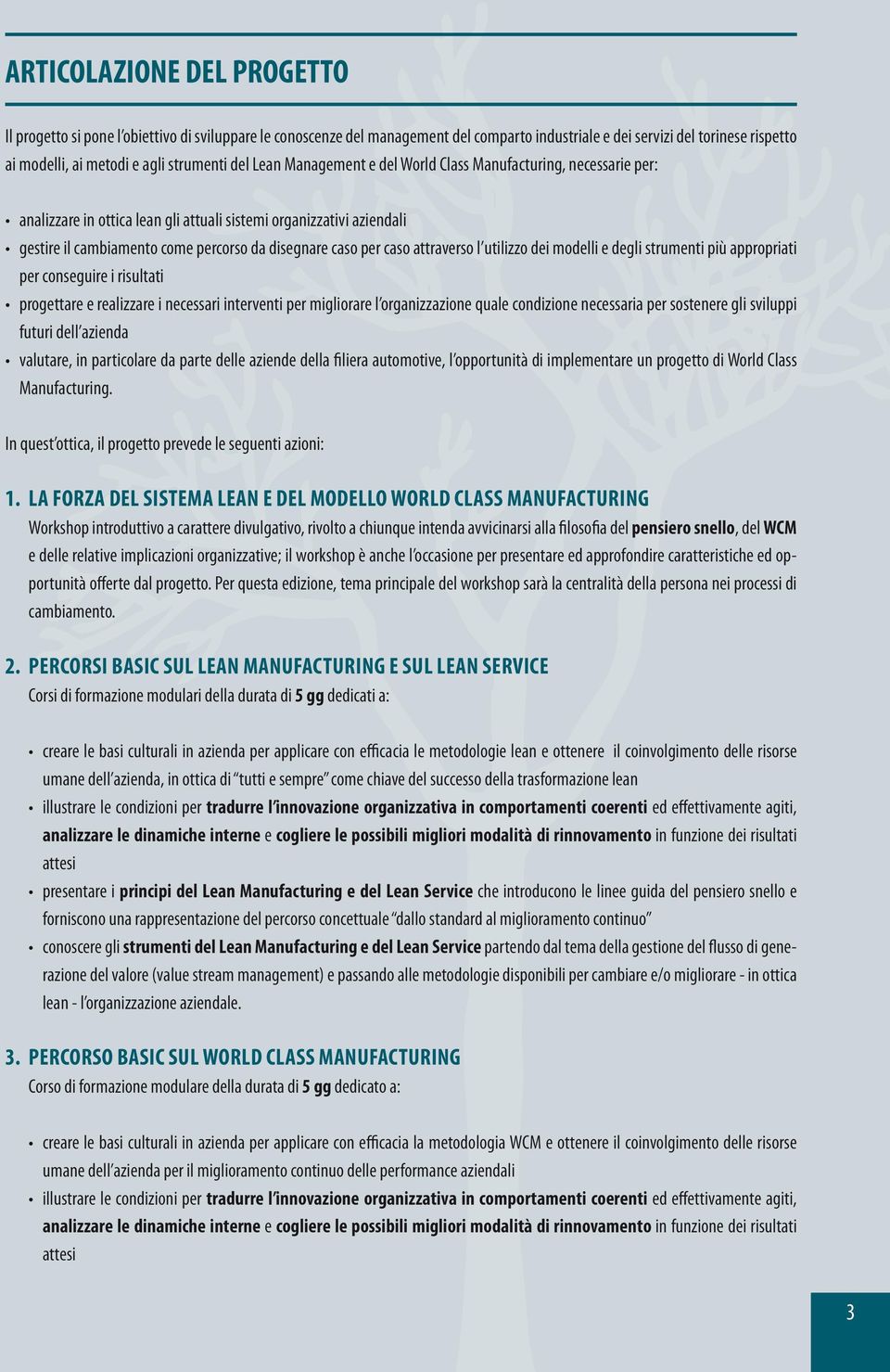 caso per caso attraverso l utilizzo dei modelli e degli strumenti più appropriati per conseguire i risultati progettare e realizzare i necessari interventi per migliorare l organizzazione quale