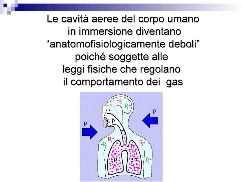 anatomofisiologicamente deboli poiché