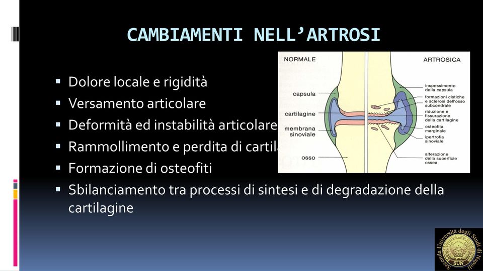 e perdita di cartilagine Formazione di osteofiti