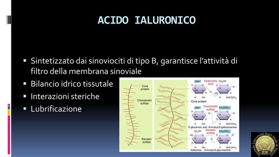 attività di filtro della membrana sinoviale