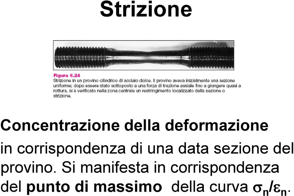 data sezione del provino.