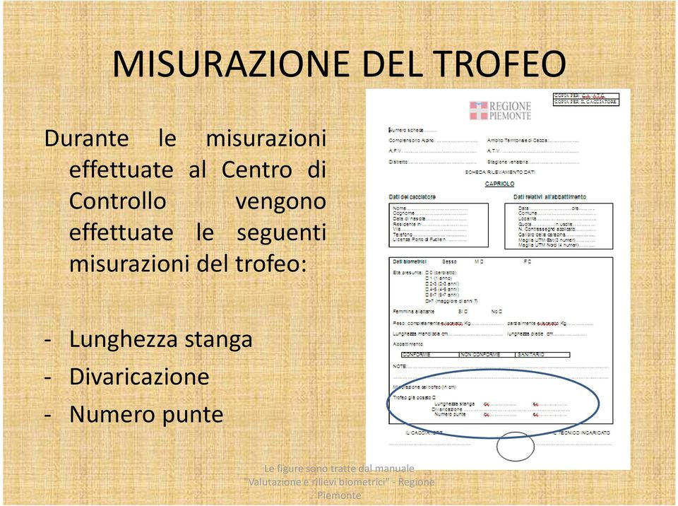 effettuate le seguenti misurazioni del