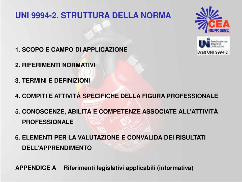 CONOSCENZE, ABILITÀ E COMPETENZE ASSOCIATE ALL ATTIVITÀ PROFESSIONALE 6.