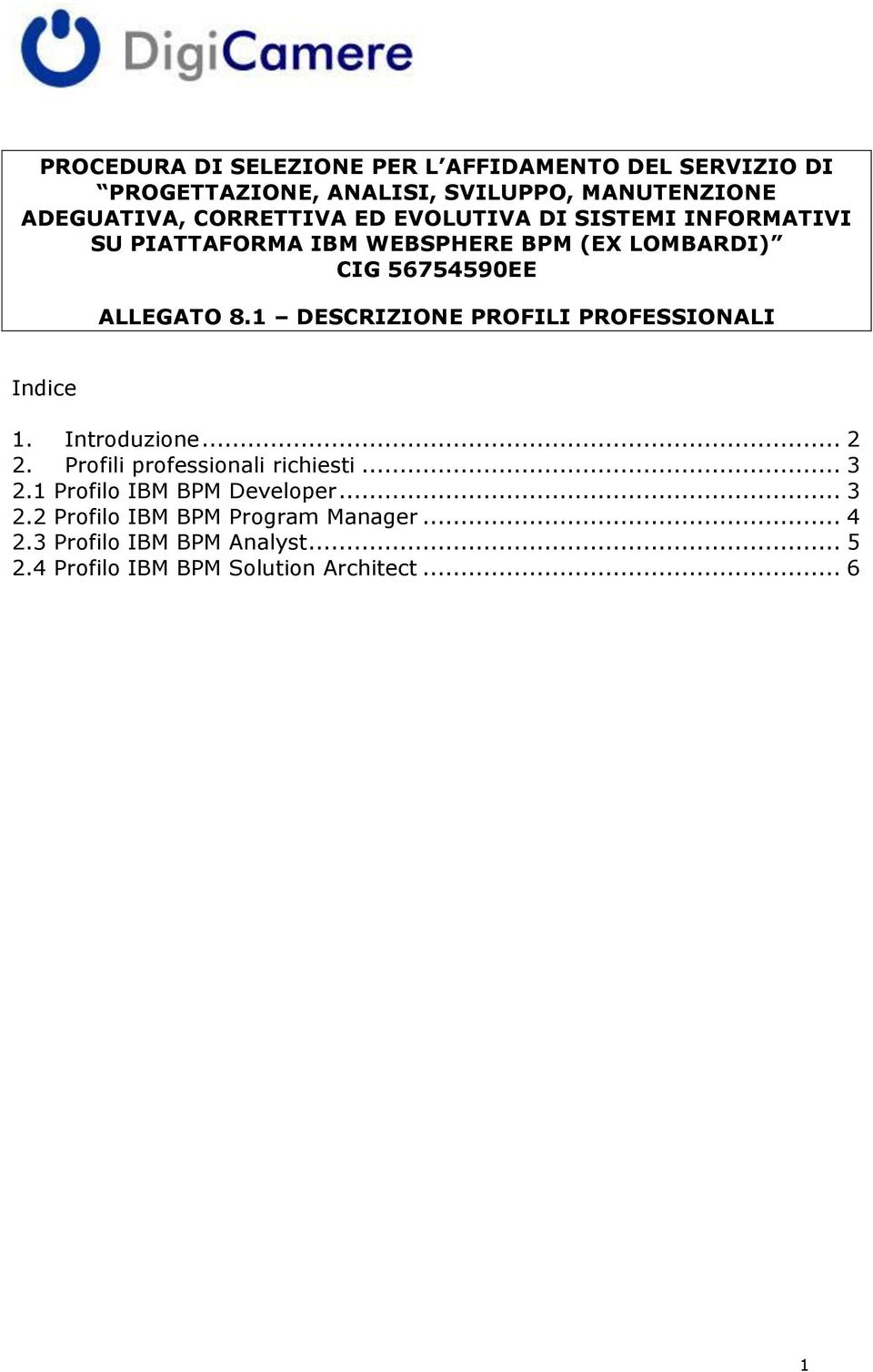 1 DESCRIZIONE PROFILI PROFESSIONALI Indice 1. Introduzione... 2 2. Profili professionali richiesti... 3 2.