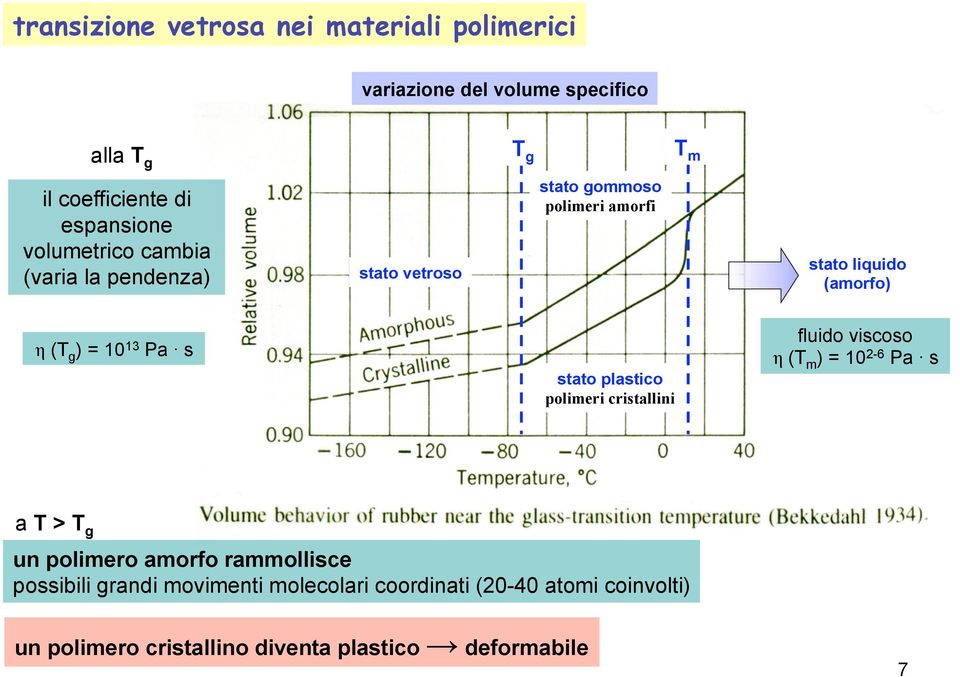 amorfi 1) moti molecolari ridotti 2) crolla il modulo = moti molecolari a lungo raggio 3) amorfi: plateau dipende da PM cristallini: plateau dipende da Tm