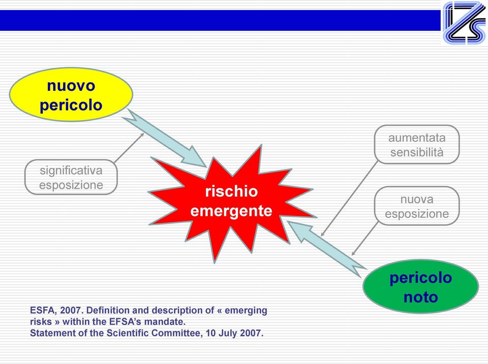 Definition and description of «emerging risks» within the EFSA