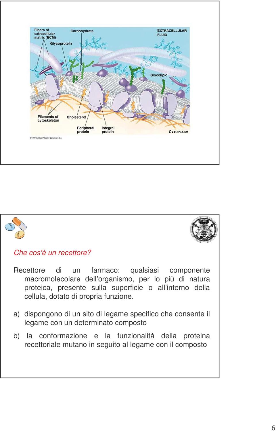 proteica, presente sulla superficie o all interno della cellula, dotato di propria funzione.