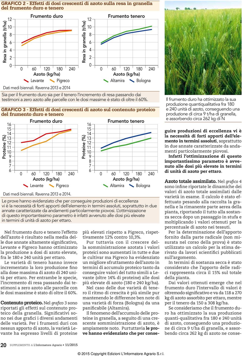 duro e tenero l effetto dell azoto è risultato nella media delle due annate altamente significativo, Levante e Pigreco hanno ottimizzato la produzione a dosi di azoto elevate, fra le 1 e 24 unità per