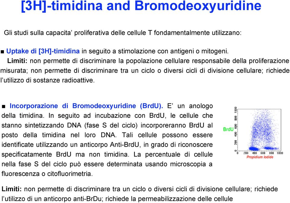 utilizzo di sostanze radioattive. Incorporazione di Bromodeoxyuridine (BrdU). E un anologo della timidina.