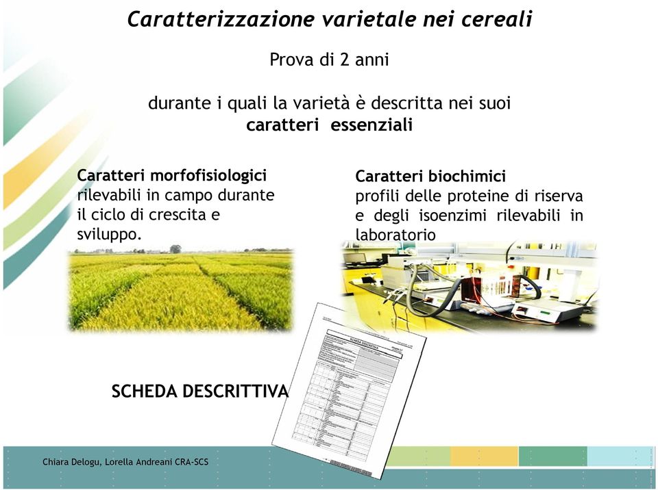 campo durante il ciclo di crescita e sviluppo.