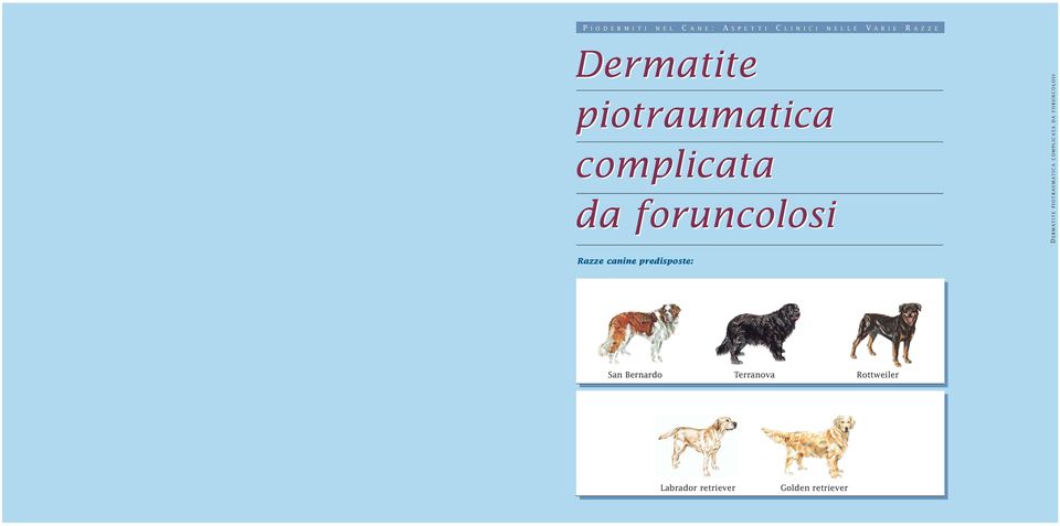 ERMATITE PIOTRAUMATICA COMPLICATA DA FORUNCOLOSI Razze canine