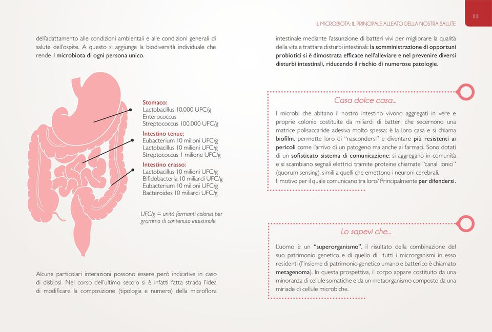 intestinale mediante l assunzione di batteri vivi per migliorare la qualità della vita e trattare disturbi intestinali: la somministrazione di opportuni probiotici si è dimostrata efficace nell