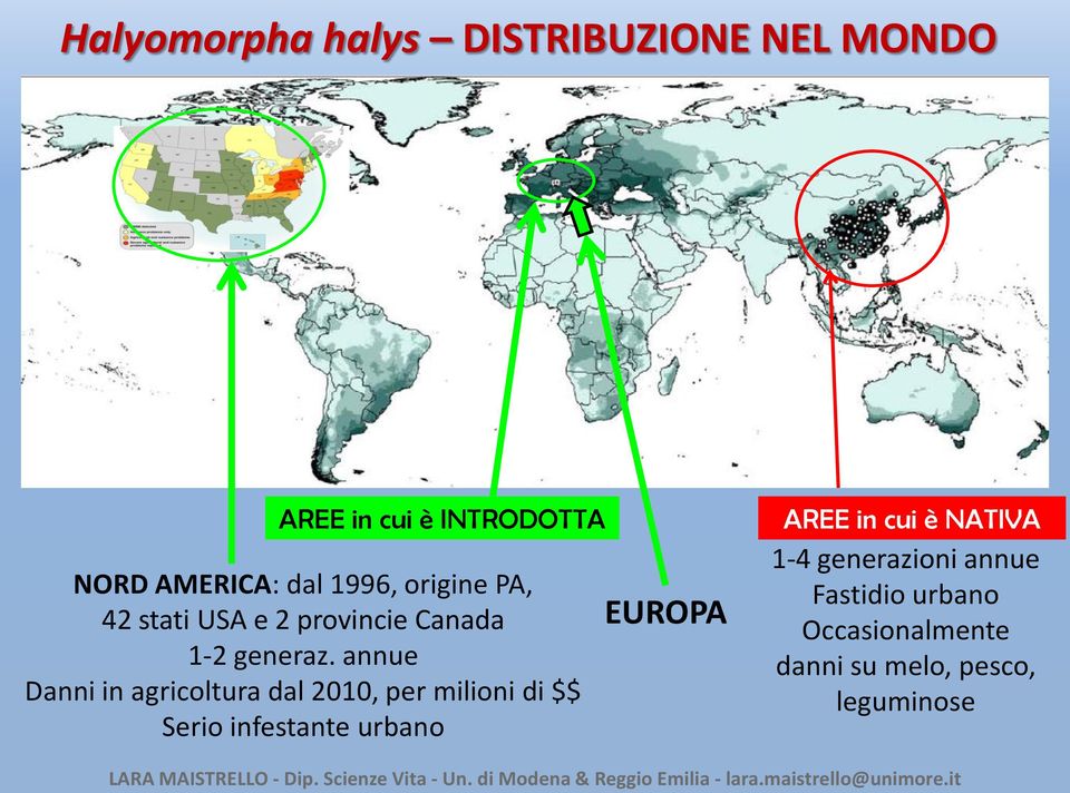 annue Danni in agricoltura dal 2010, per milioni di $$ Serio infestante urbano EUROPA AREE in cui è NATIVA