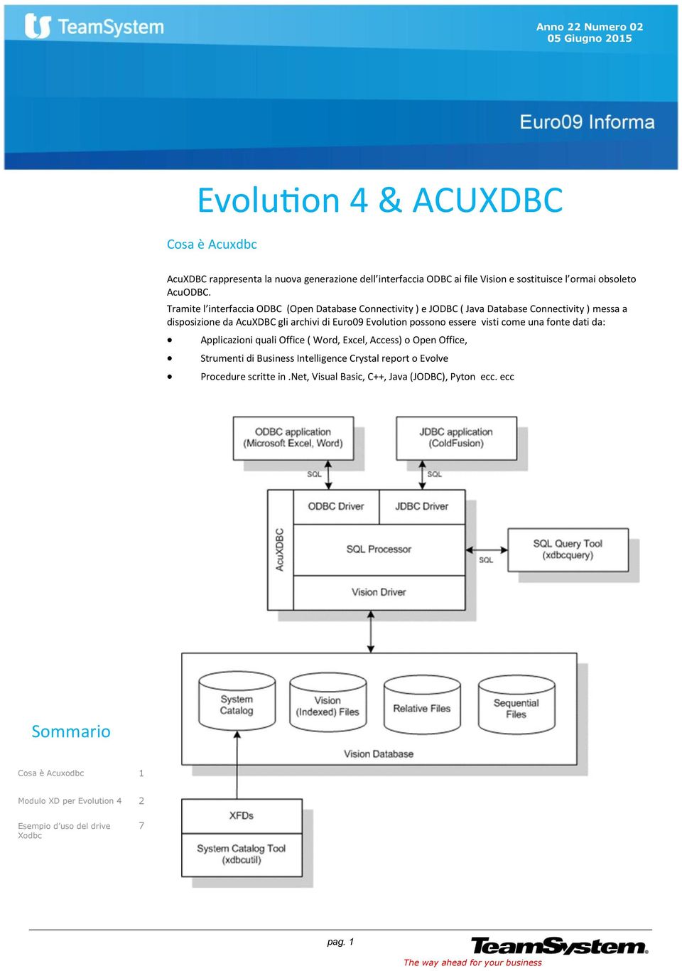 Tramite l interfaccia ODBC (Open Database Connectivity ) e JODBC ( Java Database Connectivity ) messa a disposizione da AcuXDBC gli archivi di Euro09 Evolution possono essere