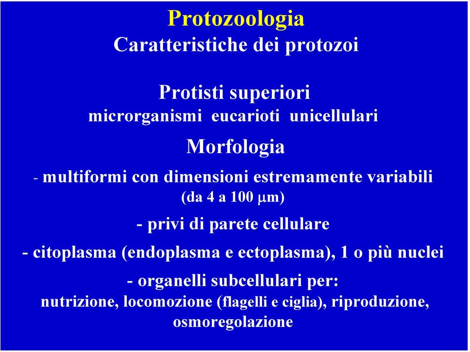 - privi di parete cellulare - citoplasma (endoplasma e ectoplasma), 1 o più nuclei -