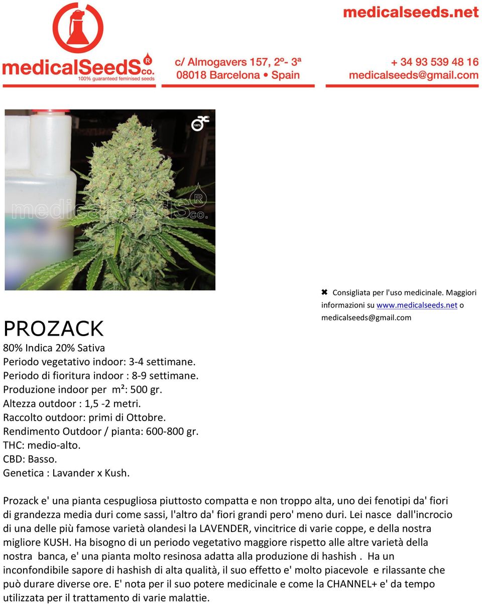 Prozack e' una pianta cespugliosa piuttosto compatta e non troppo alta, uno dei fenotipi da' fiori di grandezza media duri come sassi, l'altro da' fiori grandi pero' meno duri.