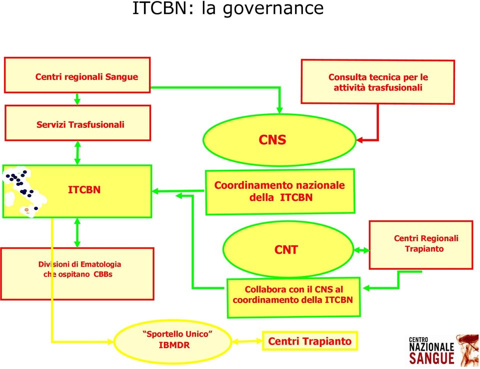 ITCBN CNT Divisioni di Ematologia che ospitano CBBs Collabora con il CNS al