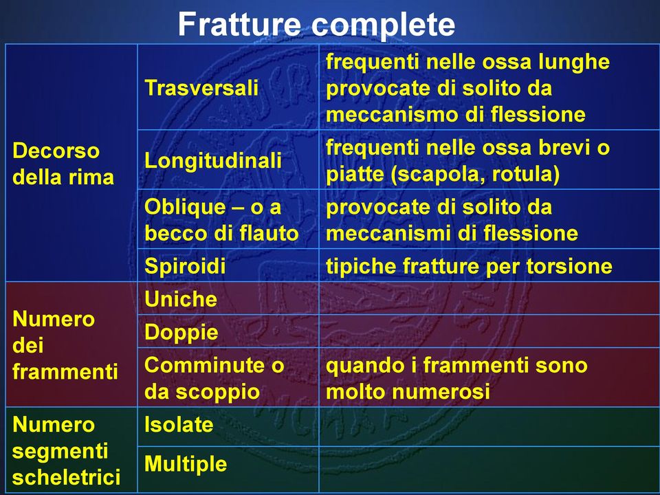 lunghe provocate di solito da meccanismo di flessione frequenti nelle ossa brevi o piatte (scapola, rotula)