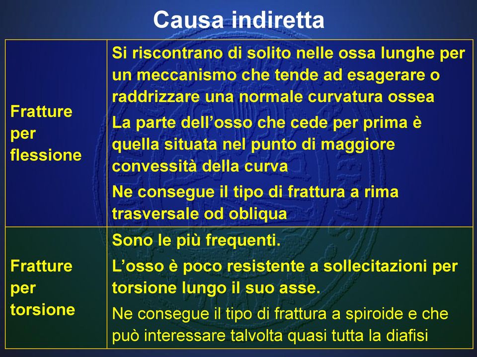 convessità della curva Ne consegue il tipo di frattura a rima trasversale od obliqua Sono le più frequenti.