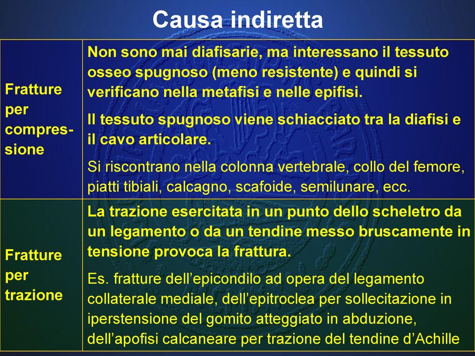 Si riscontrano nella colonna vertebrale, collo del femore, piatti tibiali, calcagno, scafoide, semilunare, ecc.