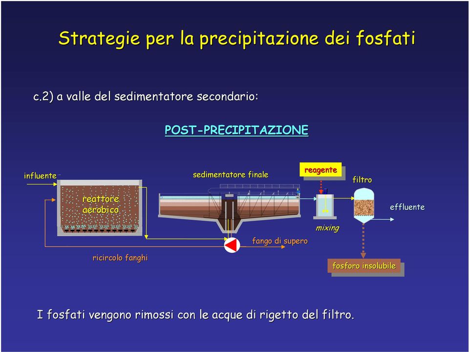 sedimentatore finale reagente reagente filtro reattore aerobico effluente fango di