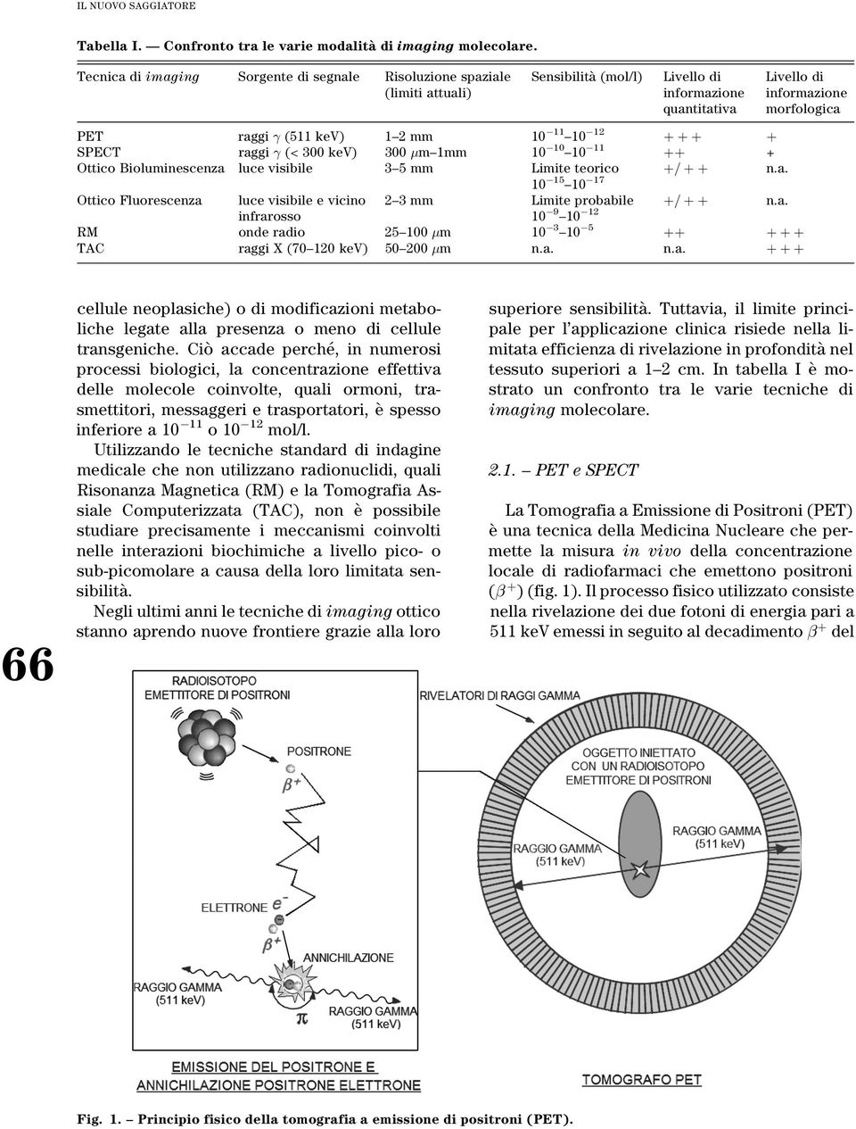 10 11 ±10 12 SPECT raggi (< 300 kev) 300 m±1mm 10 10 ±10 11 + Ottico Bioluminescenza luce visibile 3±5 mm Limite teorico = n.a. 10 15 ±10 17 Ottico Fluorescenza luce visibile e vicino 2±3 mm Limite probabile 10 9 ±10 12 = n.