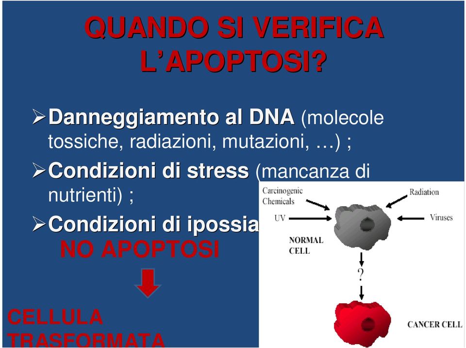 radiazioni, mutazioni, ) ; Condizioni di stress