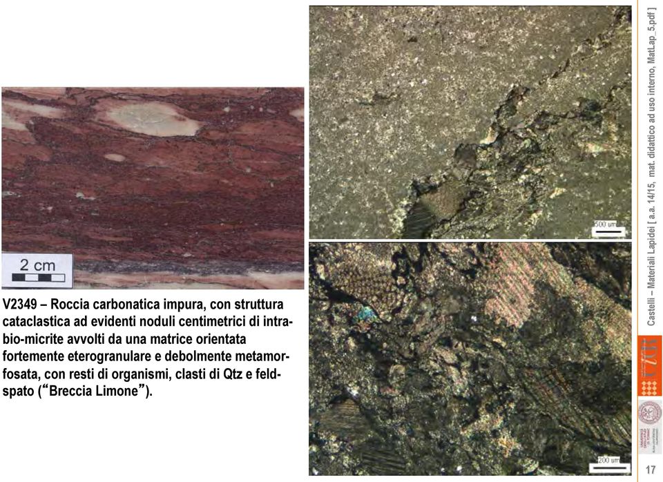 matrice orientata fortemente eterogranulare e debolmente