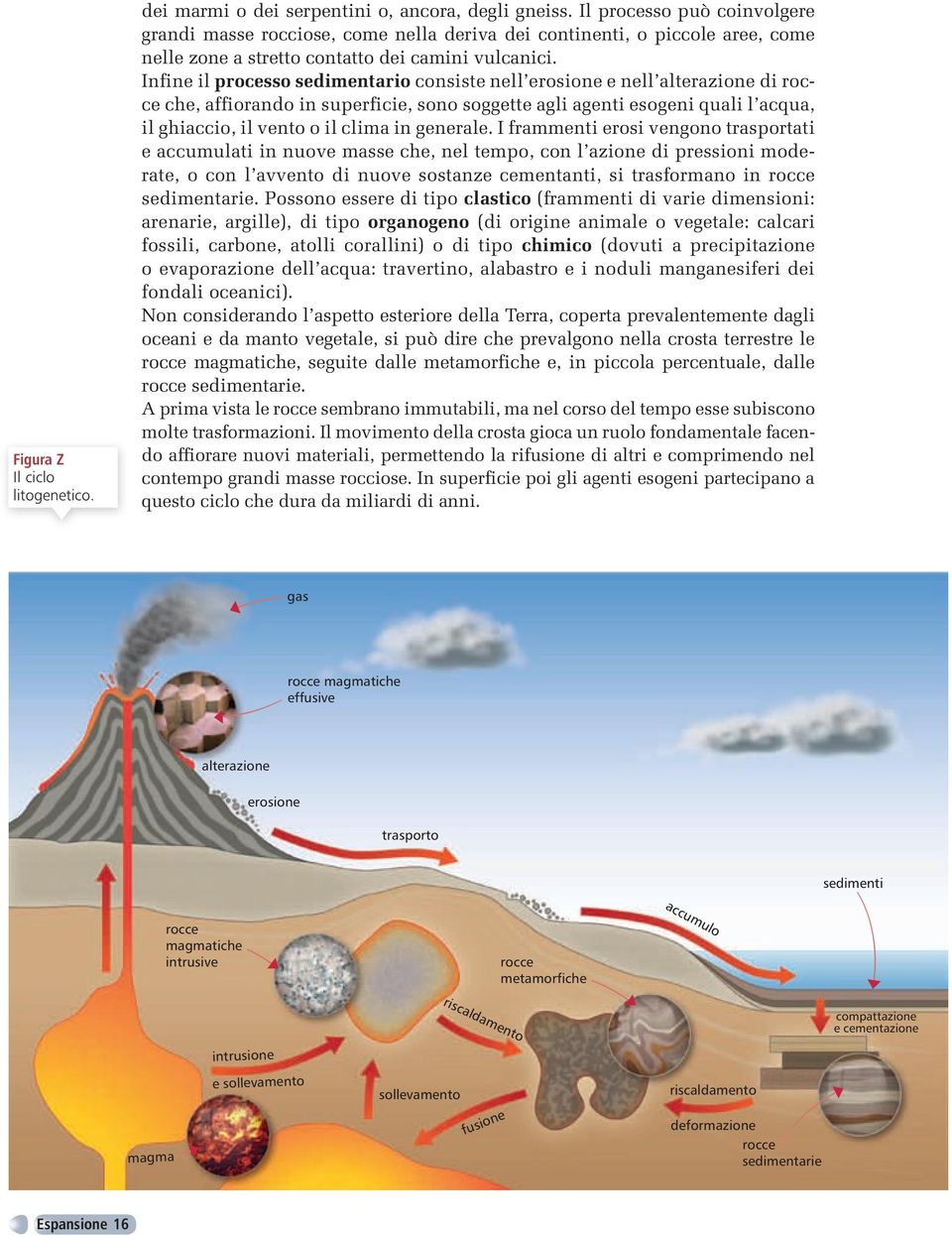 Infine il processo sedimentario consiste nell erosione e nell alterazione di rocce che, affiorando in superficie, sono soggette agli agenti esogeni quali l acqua, il ghiaccio, il vento o il clima in