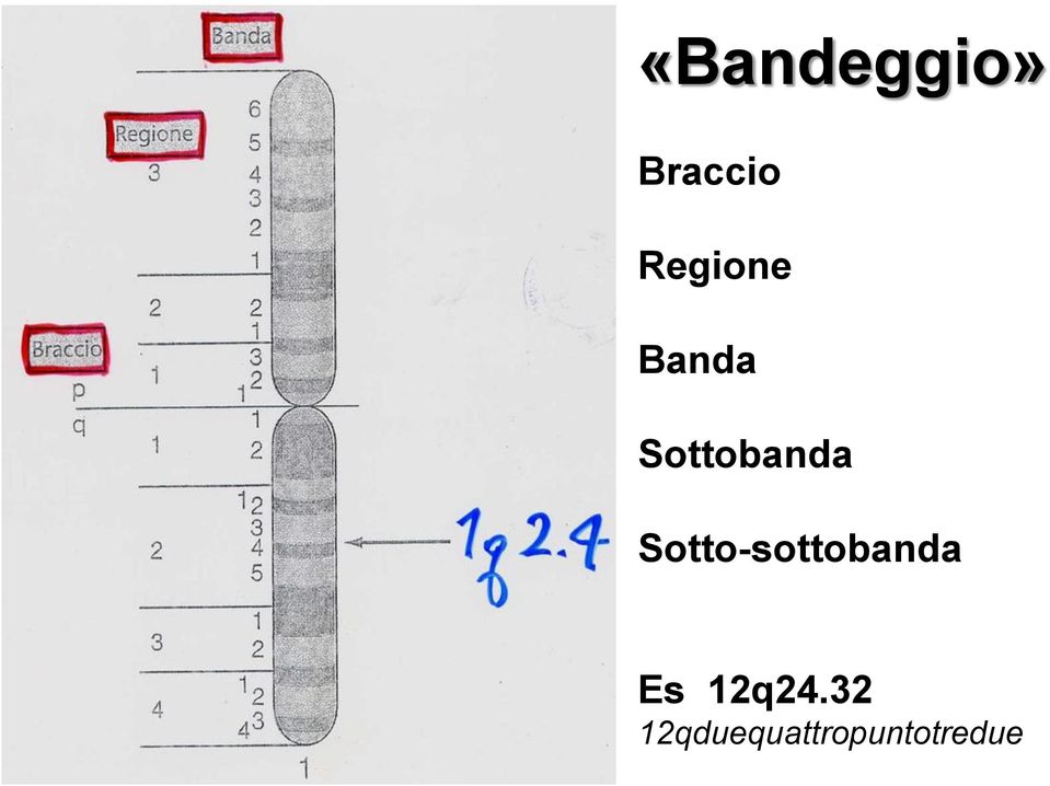 Sotto-sottobanda Es