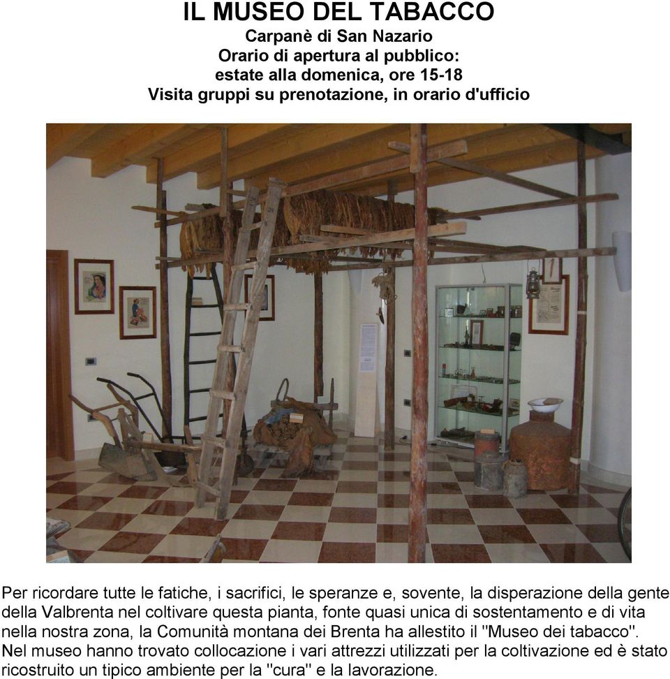 questa pianta, fonte quasi unica di sostentamento e di vita nella nostra zona, la Comunità montana dei Brenta ha allestito il "Museo dei tabacco".