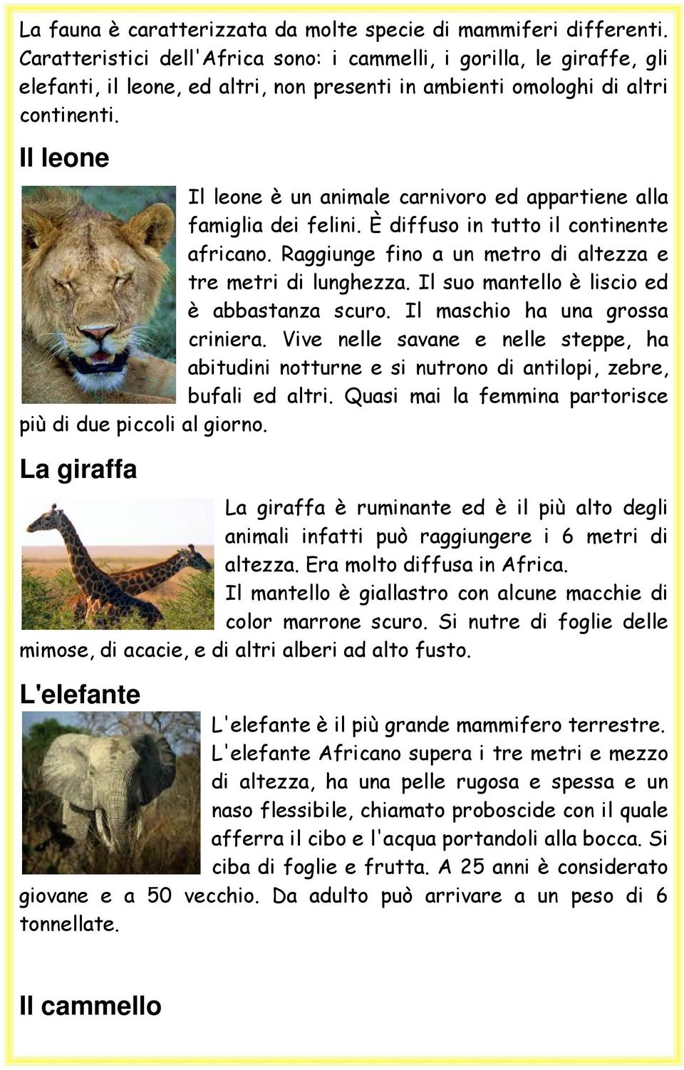 Il leone Il leone è un animale carnivoro ed appartiene alla famiglia dei felini. È diffuso in tutto il continente africano. Raggiunge fino a un metro di altezza e tre metri di lunghezza.