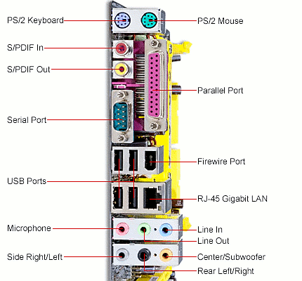 1.1.1.5 Identificare le più comuni porte di input/output, quali: USB, seriale,