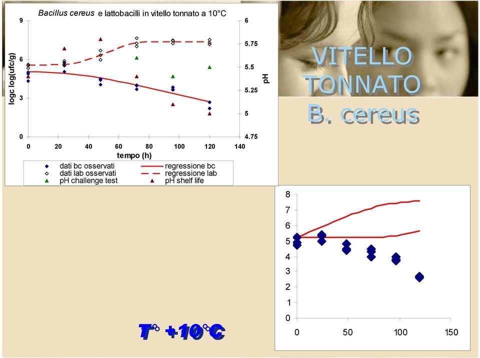 cereus tempo (h) dati bc osservati regressione bc dati
