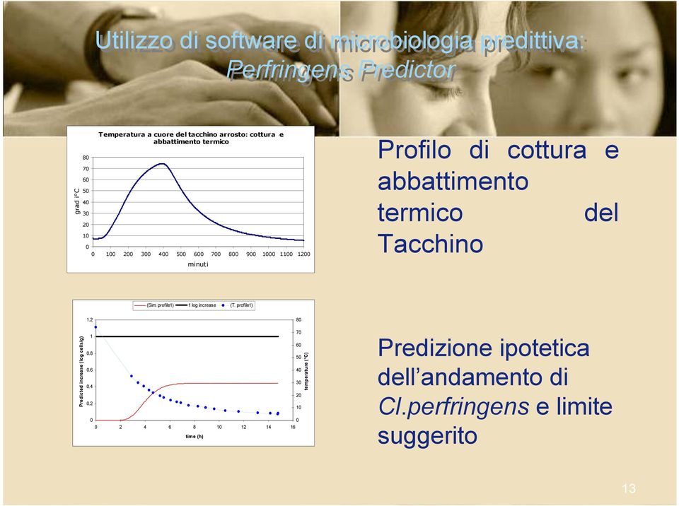 abbattimento termico del Tacchino (Sim. profile) log increase (T.