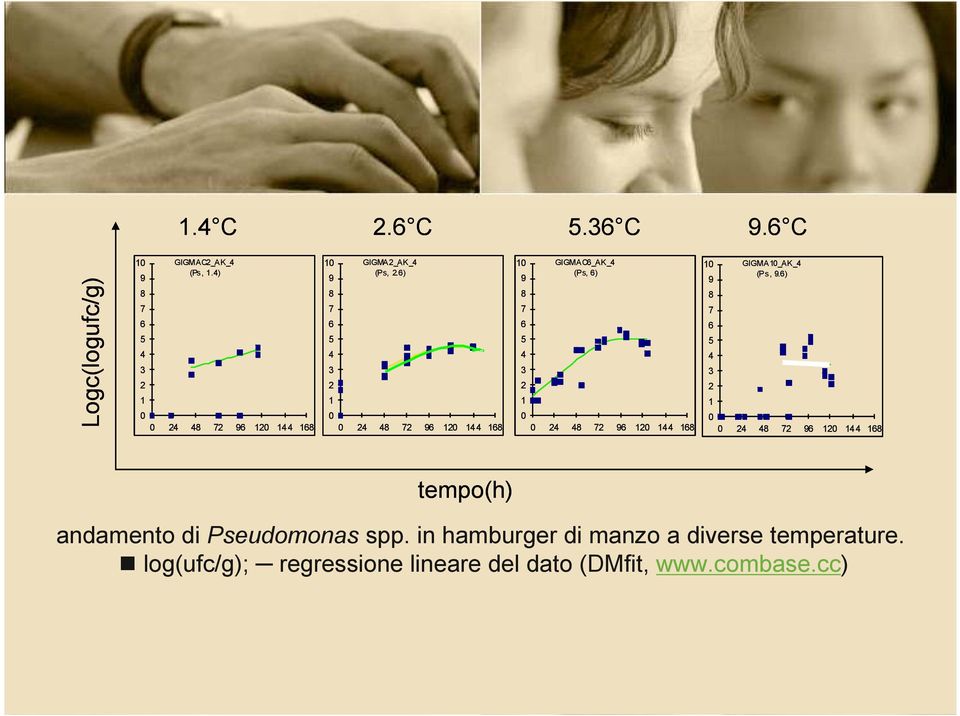 ) tempo(h) andamento di Pseudomonas spp.