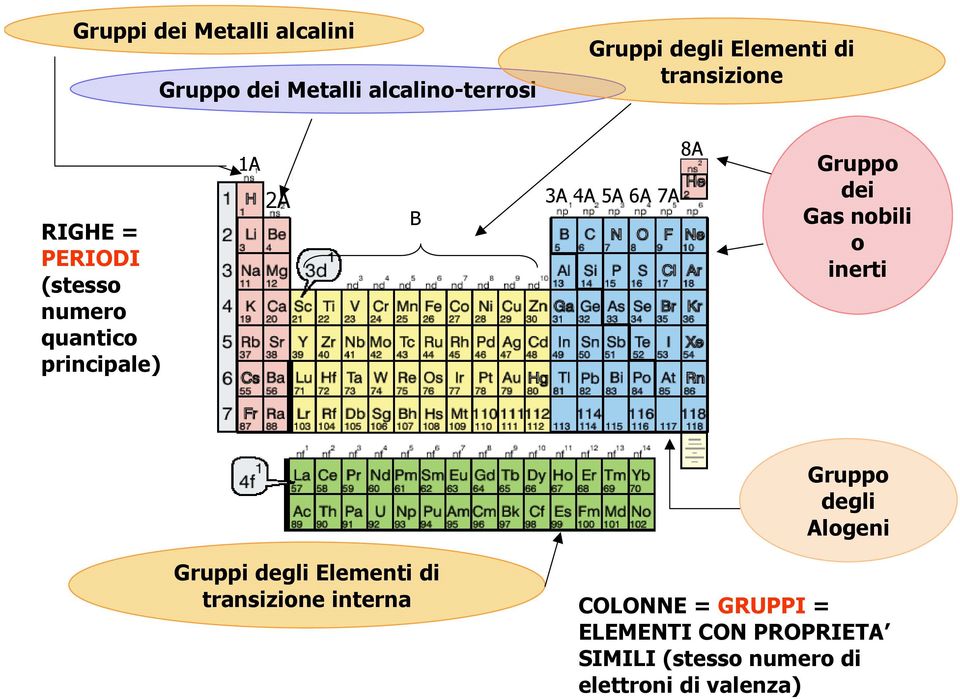 Gruppo dei Gas nobili o inerti Gruppo degli Alogeni Gruppi degli Elementi di transizione